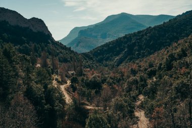 Dağlık bir arazide gün batımı, ağaçlardan oluşan geniş bir orman..