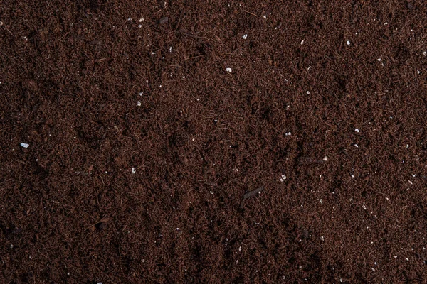 Potting Mix Coco Coir Perlite Natural Organic Ingredients Vegetables Flowers — Stock Photo, Image