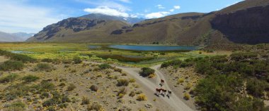 And Dağları 'ndaki El Sosneado Gölü.