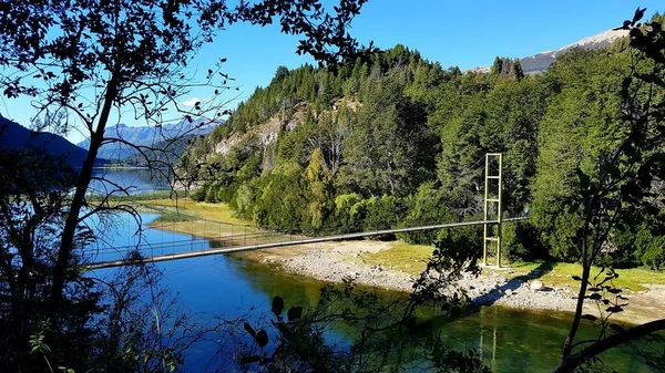 Híd Felett Erdő Közepén Patagónia Argentína — Stock Fotó