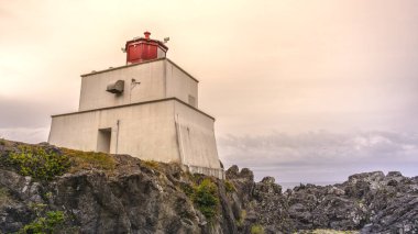 British Columbia, Kanada 'daki Vancouver Adası' ndaki güzel yağmur ormanları ve plajları. Adanın bu kısmına Kanadalılar Hawaii de denir..