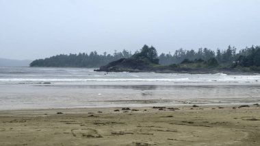British Columbia, Kanada 'daki Vancouver Adası' ndaki güzel yağmur ormanları ve plajları. Adanın bu kısmına Kanadalılar Hawaii de denir..