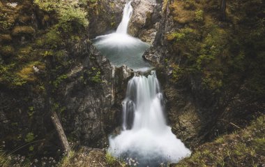 British Columbia, Kanada 'daki Vancouver Adası' ndaki güzel yağmur ormanları ve plajları. Adanın bu kısmına Kanadalılar Hawaii de denir..