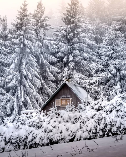 Viaje Invierno Canadá Eslovaquia Durante Navidad Casa Campo Medio Nada — Foto de Stock