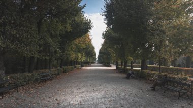 Viyana 'da güzel büyük bir bahçe ve şehir parkında boş tozlu bir patika..