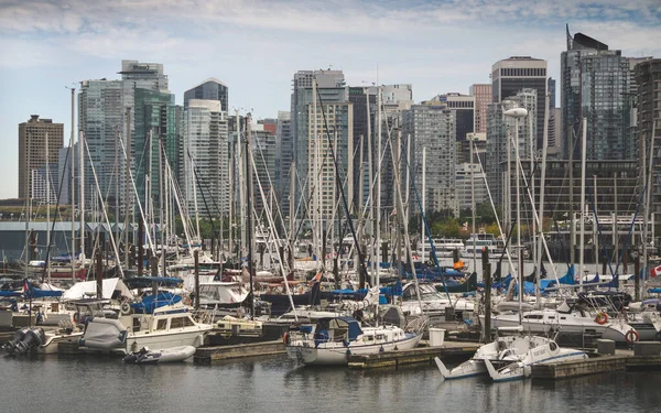 Hamnen Ligger Stanley Park — Stockfoto