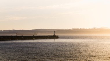 Victoria 'daki popüler deniz feneri Ogden Point' i arıyor.