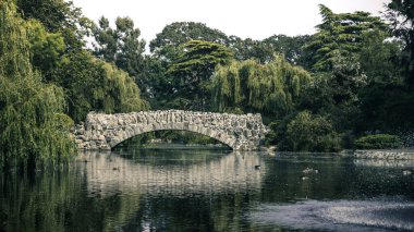 Kanada 'daki gölün üzerindeki taş köprü Britanya Kolumbiyası