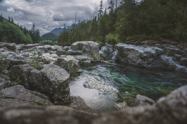 Wally Creek 'in geri çekilmesinin güzelliği. Orman, vahşi nehir, Kanada 'daki Vancouver Adası' ndaki kayalar ve ağaçlar