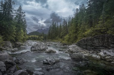 Wally Creek 'in geri çekilmesinin güzelliği. Orman, vahşi nehir, Kanada 'daki Vancouver Adası' ndaki kayalar ve ağaçlar
