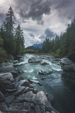 Wally Creek 'in geri çekilmesinin güzelliği. Orman, vahşi nehir, Kanada 'daki Vancouver Adası' ndaki kayalar ve ağaçlar