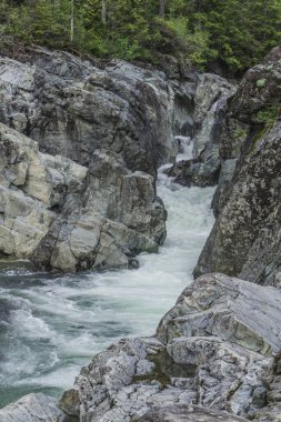 Wally Creek 'in geri çekilmesinin güzelliği. Orman, vahşi nehir, Kanada 'daki Vancouver Adası' ndaki kayalar ve ağaçlar