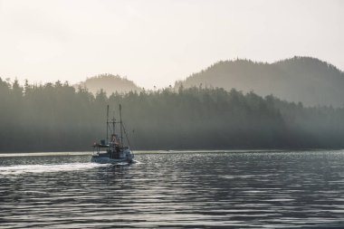 Ormanlar, adalar ve dağlar Tofino Kanada 'da güneş ışığı altında katmanlar oluşturuyor..
