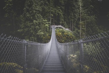 Kanada 'nın Vancouver Adası' ndaki Elk Falls İl Parkı ve Koruma Alanı