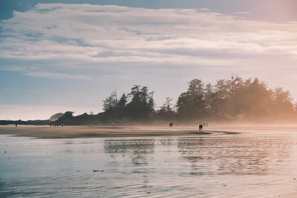Виняткове Місце Магічній Частині Світу Прекрасний Пляж Острові Ванкувер Канада — стокове фото