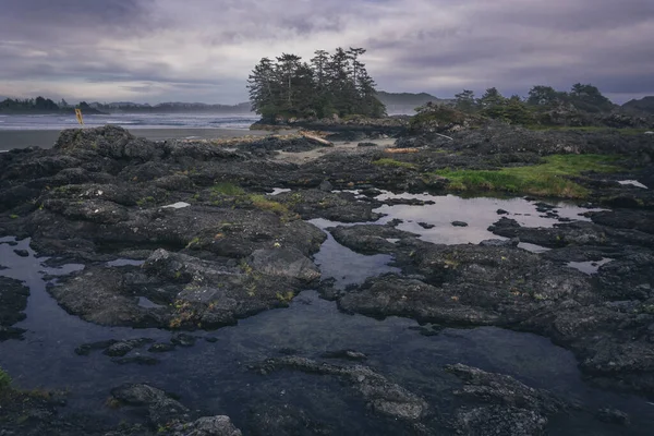 Exceptional Location Magical Part World Beautiful Beach Vancouver Island Canada — Stock Photo, Image