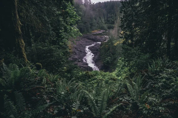 Parque Provincial Elk Falls Área Protegida Ilha Vancouver Canadá — Fotografia de Stock