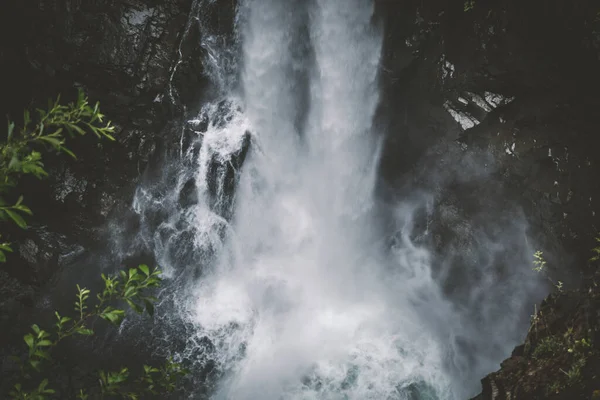 Parque Provincial Elk Falls Área Protegida Ilha Vancouver Canadá — Fotografia de Stock