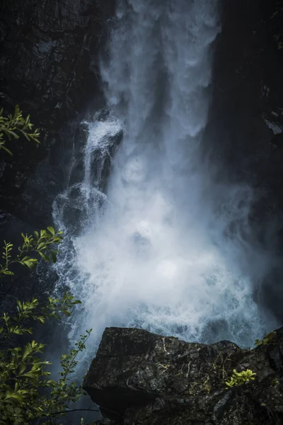 Parque Provincial Elk Falls Área Protegida Isla Vancouver Canadá — Foto de Stock