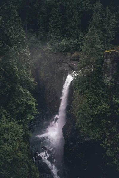 Провінційний Парк Елк Фолс Острові Ванкувер Канада — стокове фото