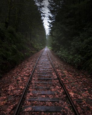Goldstream demiryolu köprüsü Kanada 'daki Goldstream il parkında yer almaktadır.