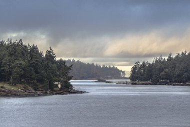 Sahildeki güzel ormanlar ve adalar. Fotoğraf Kanada 'da Victoria ve Vancouver arasında feribottan çekildi.