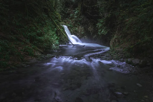 Rio Selvagem Cachoeira Floresta Mágica Canadá — Fotografia de Stock