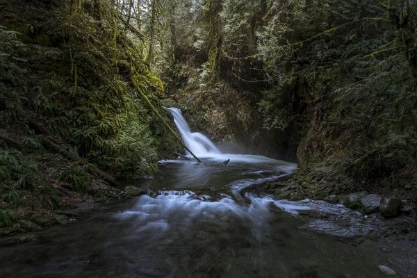 Rio Selvagem Cachoeira Floresta Mágica Canadá — Fotografia de Stock