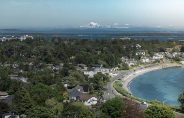 Vancouver Adası, Kanada 'da okyanusun yanındaki tepeden güzel manzara