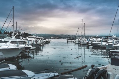 Vancouver, Kanada 'nın British Columbia şehrinde yer alan bir liman kentidir.