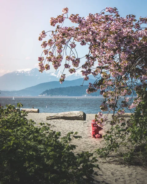 Vancouver Kusthamn Västkuststad Belägen British Columbia Kanada — Stockfoto