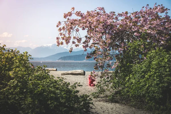 Vancouver Kanada Nın British Columbia Şehrinde Yer Alan Bir Liman — Stok fotoğraf