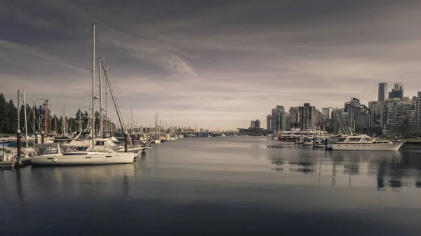 Skyline Vancouver Från Populära Sea Wall Ligger Stanley Park Kanada — Stockfoto