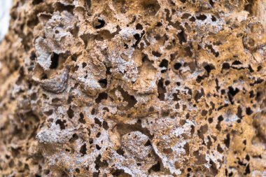 Termit yuvası dokusu ve arkaplanı