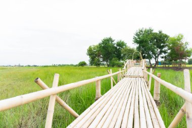 Pirinç tarlasında bambu yolu