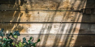 Ağaçlı eski ahşap duvar