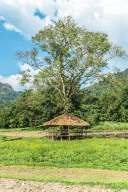 Büyük ağacın altındaki ahşap pavyon. Bulutlu mavi gökyüzü