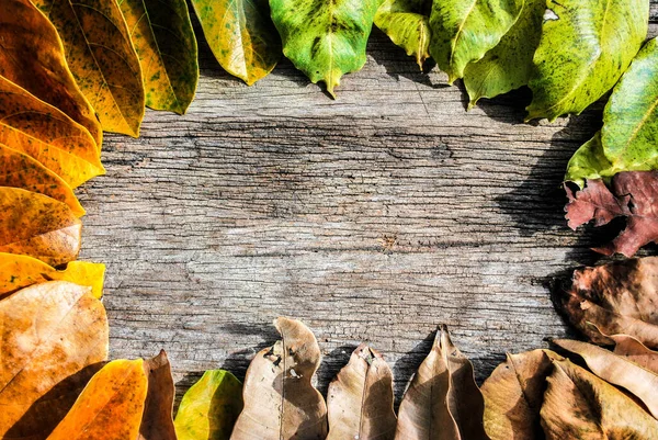 Otoño Hojas Marco Sobre Fondo Madera — Foto de Stock