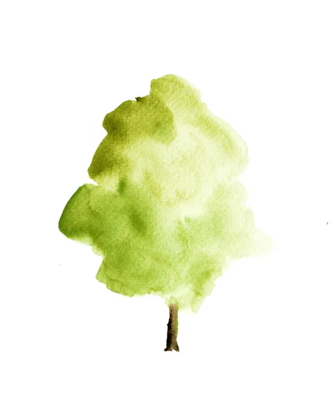 Arbre Vert Avec Feuilles Peinture Aquarelle Dessinée Main Isoler Sur — Photo