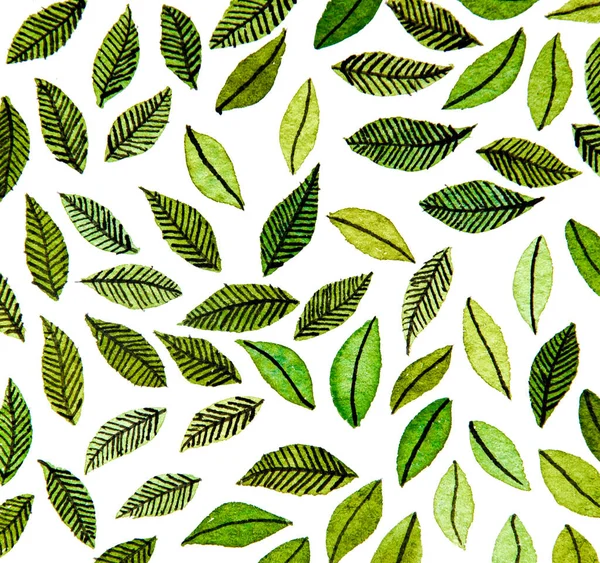 Natuurlijke Textuur Van Groene Planten — Stockfoto