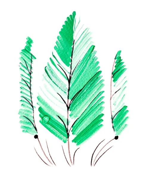 Textura Das Folhas Plantas Branco — Fotografia de Stock