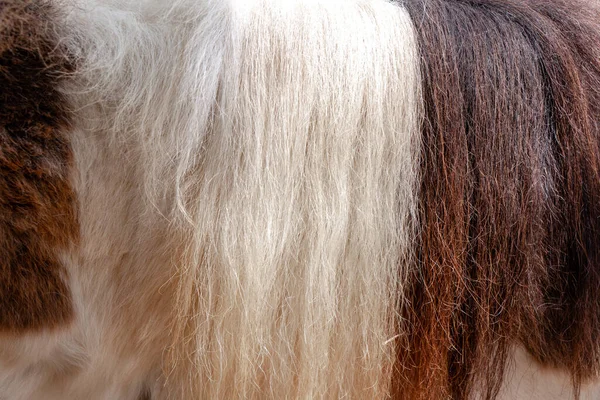 Naturfaser Thermischen Fell Wolle Textur Hintergrund Von Schafen Mit Weißen — Stockfoto