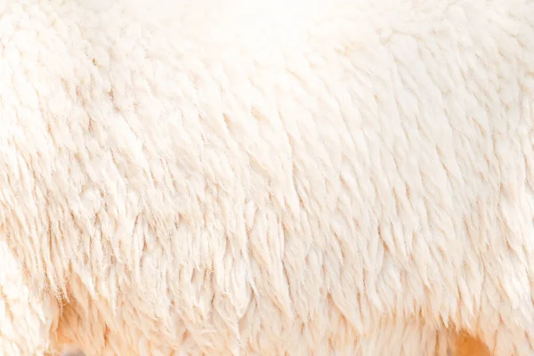 Naturfaser Thermischen Fell Wolle Textur Hintergrund Von Schafen Mit Weißen — Stockfoto