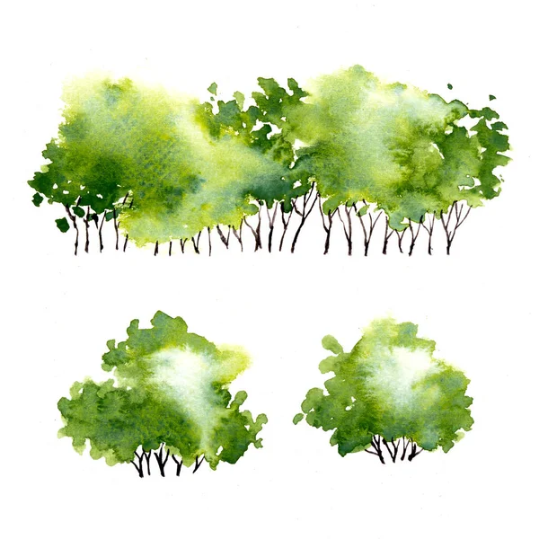 Zielone Drzewa Liśćmi Ręcznie Malowane Akwarele Izolować Białym Tle — Zdjęcie stockowe