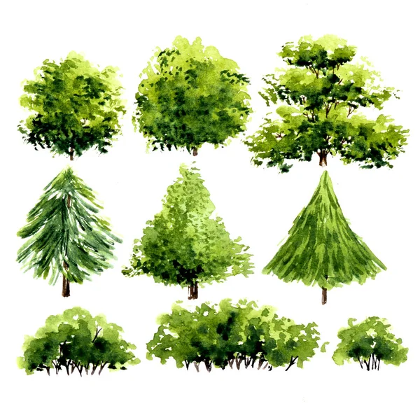 Árvores Verdes Com Folhas Mão Desenhado Aquarela Pintura Isolar Fundo — Fotografia de Stock