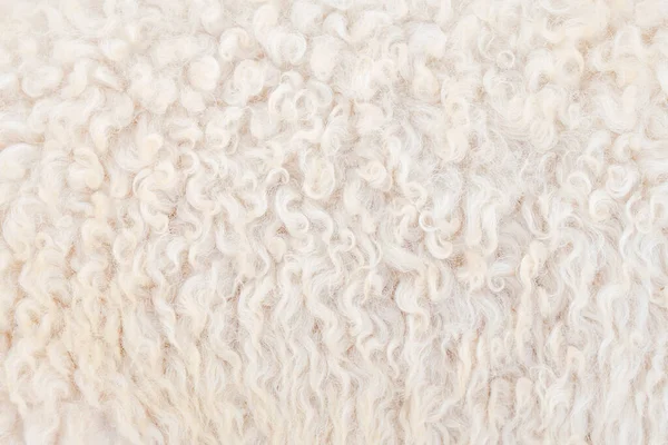 Naturalne Włókno Termalne Wełny Futrzanej Tekstury Tła Owiec Białym Jasnym — Zdjęcie stockowe