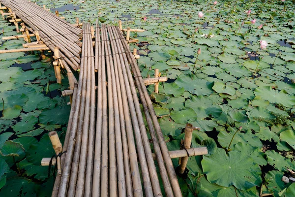 Puente Del Muelle Bambú Estanque Loto — Foto de Stock