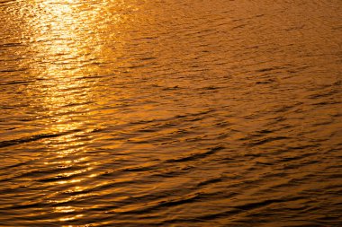 deniz suyu arka planı, doku