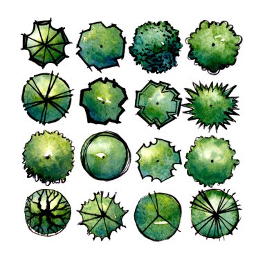 Yapraklı yeşil ağaçlar. El çizimi suluboya resim, beyaz arkaplanda izole.