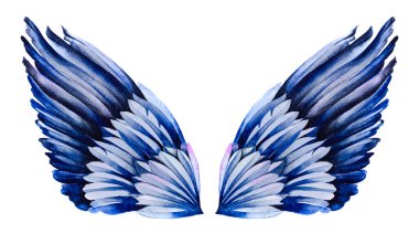 beyaza boyanmış mavi kanatlar 
